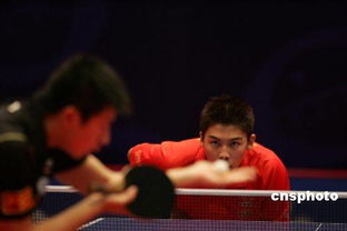 中国乒乓球男队员排名前十