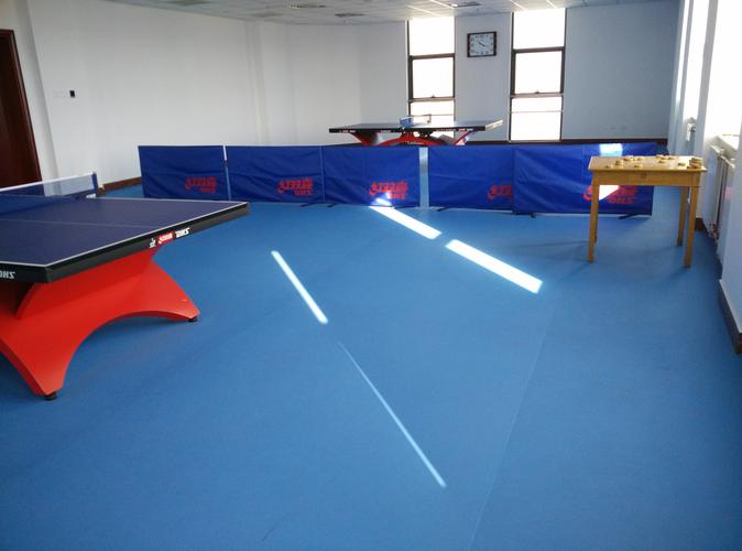 乒乓球室专用地板