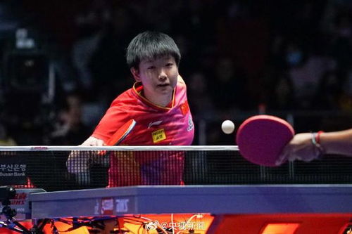海丰乒乓球比赛照片