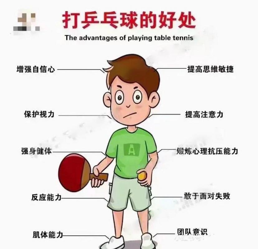 乒乓球培养方案